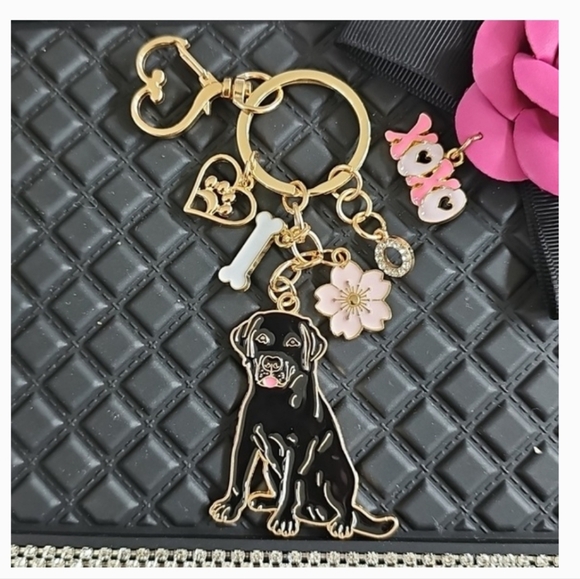 NEW! Bernese Mountain Dog Pawprint🐾 "Dog Mom" Keychain/Purse 👜🎒 Charm ~ 🐕🎁 - Picture 12 of 15